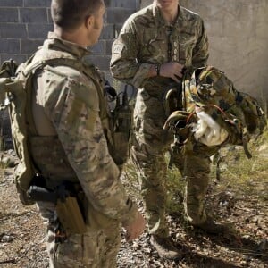 Le prince Harry lors d'un exercice d'entraînement de commando avec l'armée australienne en Australie, à Sydney en 2015.