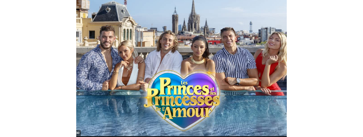 Photo : Logo des "Princes de l'amour 6", sur W9 - Purepeople