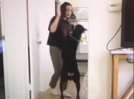Brooke Houts : La youtubeuse qui a maltraité son chien s'en sort bien
