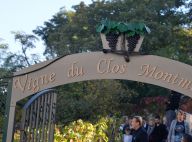 Fête des vendanges 2019 : Découvrez les nouveaux parrains