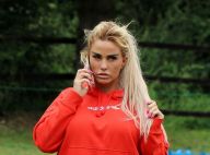Katie Price volée et piratée par son ex : la police intervient
