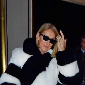 Exclusif - Céline Dion va diner avec Pepe Munoz, à New York, le 13 novembre 2019.