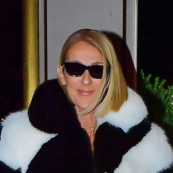 Exclusif - Céline Dion va diner avec Pepe Munoz, à New York, le 13 novembre 2019.