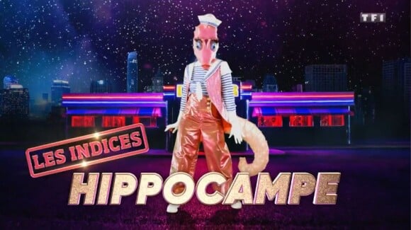 Portrait et performance de l'Hippocampe, personnage de "Mask Singer", sur TF1.