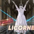 Portrait et performance de la Licorne, personnage de "Mask Singer" sur TF1.