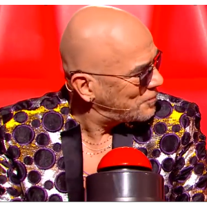 Extrait de l'émission "The Voice" diffusée samedi 25 janvier 2020 - TF1