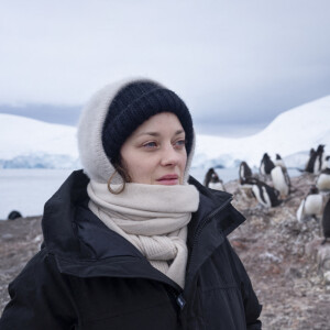 Marion Cotillard visits Trinity Island in Antartic on January 2020 with Greenpeace to observe penguins and whale identification work. Greenpeace is back in the Antarctic on the last stage of the Pole to Pole Expedition. Handout Photo by Abbie Trayler-Smith/Greenpeace via ABACAPRESS.COM