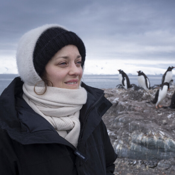 Marion Cotillard en visite sur l'île de la Trinité en Antarctique en janvier 2020 avec Greenpeace pour observer les pingouins et les baleines. Photo : Abbie Trayler-Smith/Greenpeace via ABACAPRESS.COM