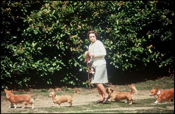 La reine Elizabeth et ses chiens en 1980.