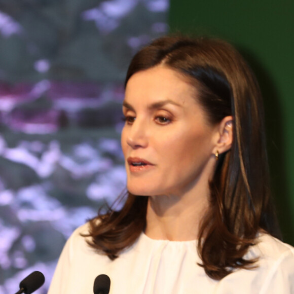La reine Letizia d'Espagne, présidente d'honneur de l'Association espagnole contre le cancer, présidait le 4 février 2020 au IXe Forum contre le cancer à Madrid, dans le cadre de la Journée mondiale de la lutte contre la maladie.