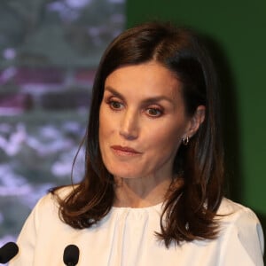 La reine Letizia d'Espagne, présidente d'honneur de l'Association espagnole contre le cancer, présidait le 4 février 2020 au IXe Forum contre le cancer à Madrid, dans le cadre de la Journée mondiale de la lutte contre la maladie.