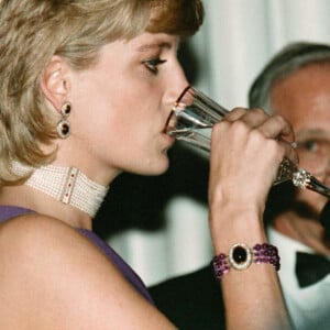 Diana en soirée à Chicago en 1996.
