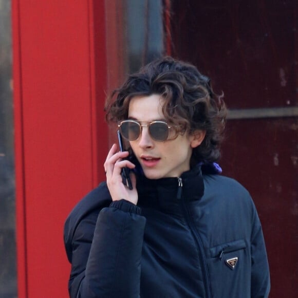 Timothée Chalamet porte une veste Prada, un jogging gris et des baskets Off-White™ à New York, le 15 janvier 2020.