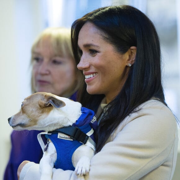 Meghan Markle, duchesse de Sussex, enceinte, visite le refuge pour animaux "The Mayhew Animal Home" dont elle est la marraine. Londres, le 16 janvier 2019.