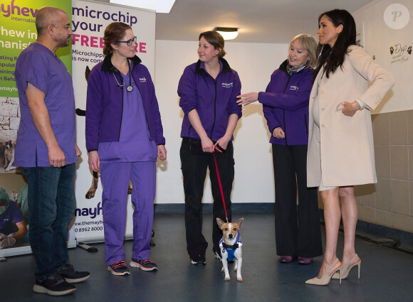 Meghan Markle, duchesse de Sussex, enceinte, visite le refuge pour animaux "The Mayhew Animal Home" dont elle est la marraine. Londres, le 16 janvier 2019.
