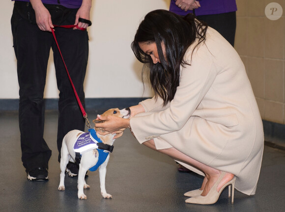 Meghan Markle, duchesse de Sussex, enceinte, visite le refuge pour animaux "The Mayhew Animal Home" dont elle est la marraine. Londres, le 16 janvier 2019.