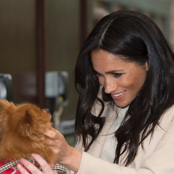 Meghan Markle, duchesse de Sussex, enceinte, visite le refuge pour animaux "The Mayhew Animal Home" dont elle est la marraine. Londres, le 16 janvier 2019.