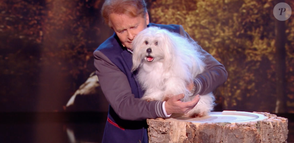 Marc Métral - "La France a un incroyable talent : la Bataille du jury", le 23 juin 2020 sur M6.