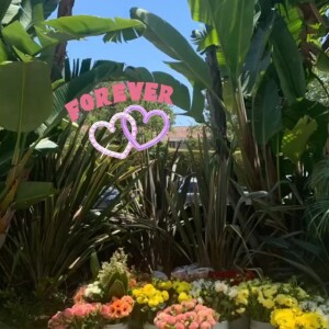 Les fleurs utilisées lors de la cérémonie hommage à Johnny Hallyday sur une plage californienne avec Laeticia Hallyday, ses filles Jade et Joy. Le 15 juin 2020, jour de l'anniversaire du rockeur qui aurait fêté ses 77 ans.