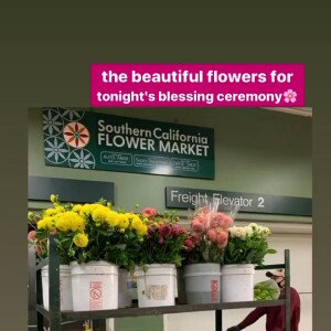 Les fleurs utilisées lors de la cérémonie hommage à Johnny Hallyday sur une plage californienne avec Laeticia Hallyday, ses filles Jade et Joy. Le 15 juin 2020, jour de l'anniversaire du rockeur qui aurait fêté ses 77 ans.
