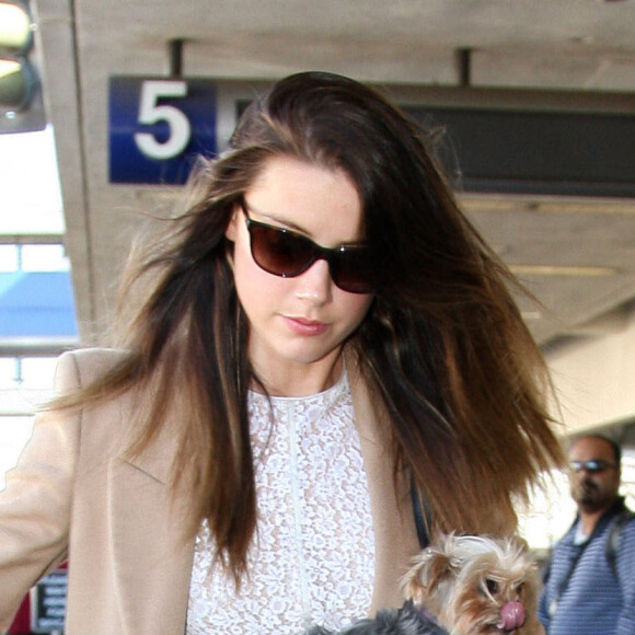 Exclusif - Amber Heard, son petit chien dans les bras, quitte l'aeroport de Los Angeles, le 10 Novembre 2012