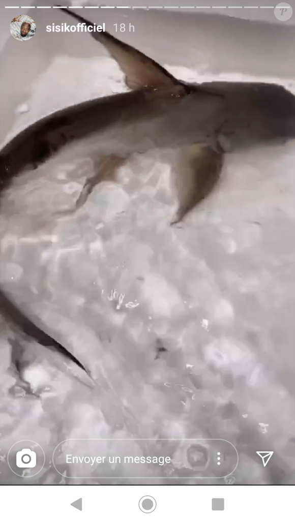Jazz et Laurent reçoivent un requin en cadeau, le 9 juillet 2020