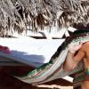 Rita Ora profite d'un après-midi ensoleillé sur une plage d'Ibiza. Le 7 août 2020.