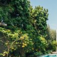 Emilia Clarke a mis en vente sa maison de Venice à Los Angeles pour 4,9 millions de dollars.