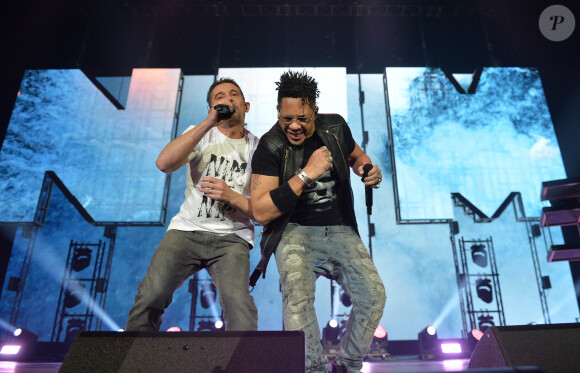 Concert du groupe Suprême NTM à l'AccorHotels Arena de Bercy à Paris le 23 novembre 2019. © Veeren Ramsamy / Bestimage