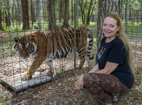 Carole Baskin, fondatrice de Big Cats Rescue, recueille des animaux élevés en captivité qui ne peuvent plus retourner à l'état sauvage, à Tampa, Floride. Netflix va produire un documentaire sur son action et sa vie d'engagement qui lui a valu des menaces de mort.