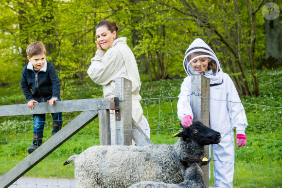 La princesse Victoria de Suède, le prince Oscar et la princesse Estelle visitent un enclos de moutons au château de Haga à Solna le 18 mai 2020.