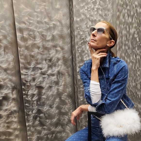 Céline Dion prend la pose pour Instagram, le 1er février 2020.