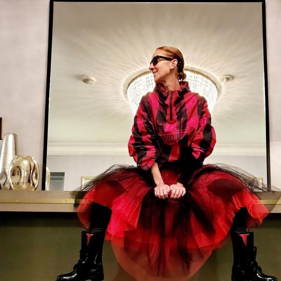 Céline Dion prend la pose sur Instagram, le 15 janvier 2020.