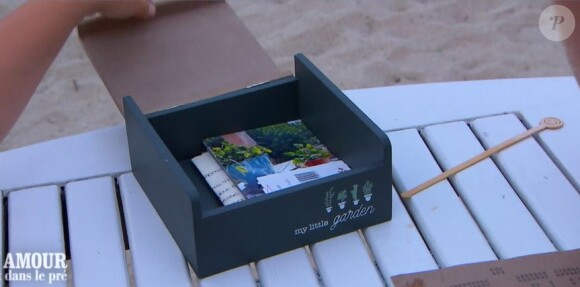 Jérôme et Lucile dans "L'amour est dans le pré 2020", le 30 novembre, sur M6