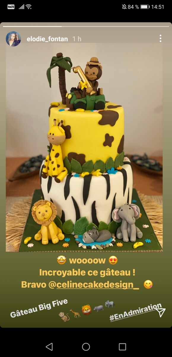 Élodie Fontan a publié une photo d'un incroyable gâteau, avec une bougie "1" au sommet, le 5 décembre 2020. Etait-ce pour l'anniversaire de son fils Raphaël ?