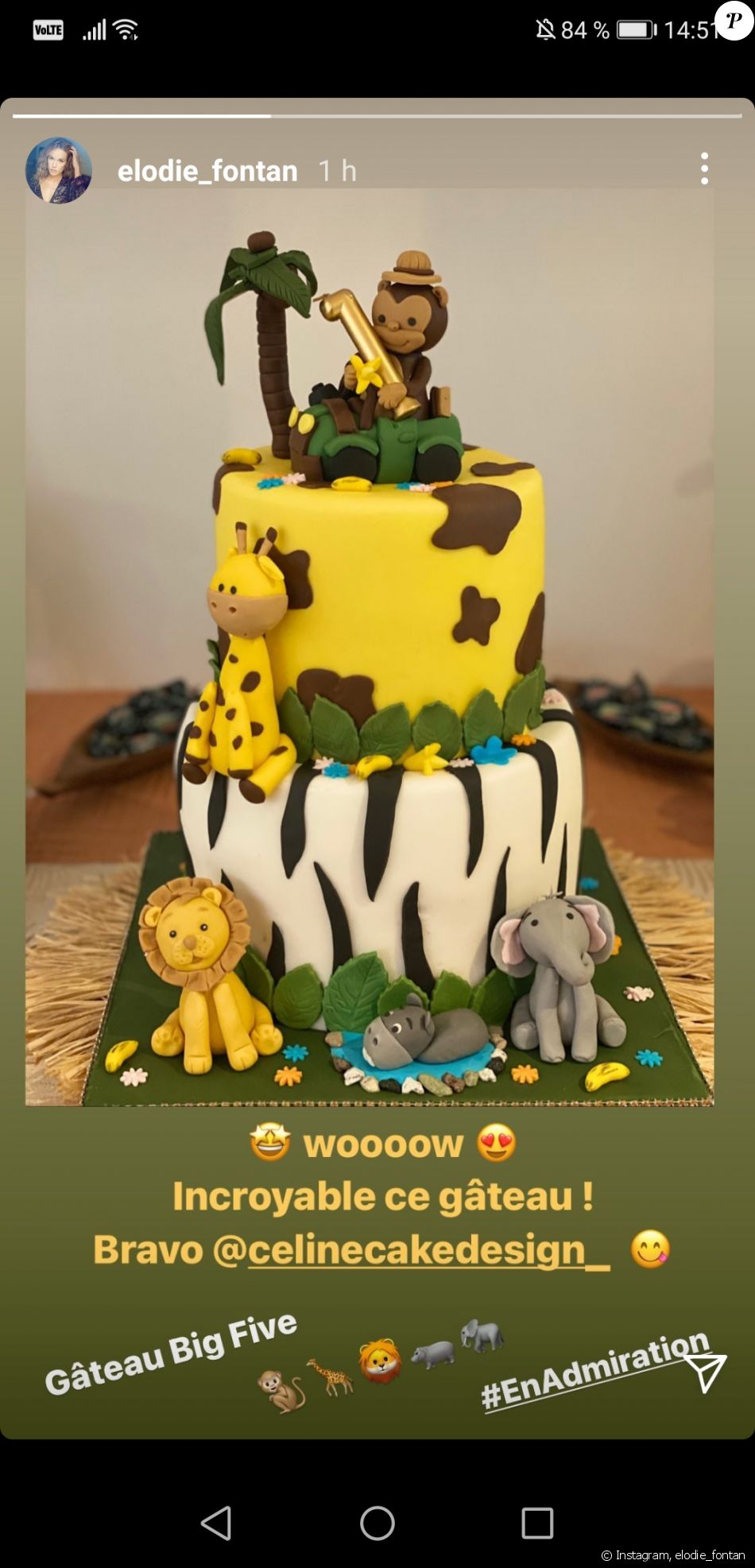 Elodie Fontan A Publie Une Photo D Un Incroyable Gateau Avec Une Bougie 1 Au Sommet Le 5 Decembre Etait Ce Pour L Anniversaire De Son Fils Raphael Purepeople