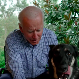 Joe Biden et son chien Major sur Instagram, octobre 2020.