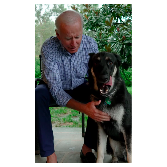 Joe Biden et son chien Major sur Instagram, octobre 2020.