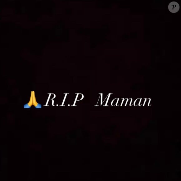 Anthony Delon a annoncé la mort de sa maman Nathalie sur Instagram le 21 janvier 2021.