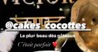 Capucine Anav a fêté l'anniversaire de son chéri Victor le 23 janvier 2021.