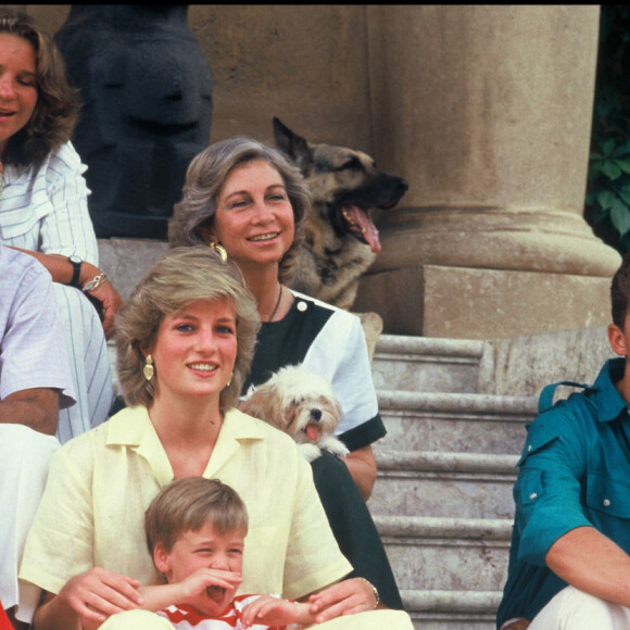 Diana, Charles et leurs fils, William et Harry, en vacances avec la famille royales espagnole en 1987 : Juan Carlos, la reine Sofia, le prince Felipe et la princesse Elena.