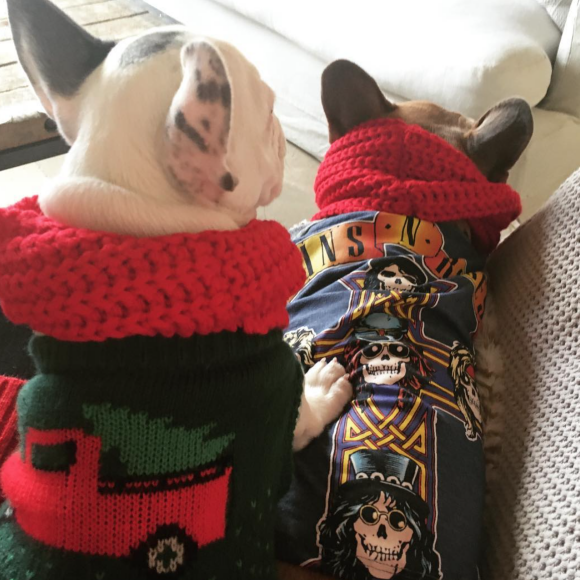 Lady Gaga et ses chiens en 2017.
