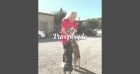 Lady Gaga : Ses chiens enlevés, leur nounou s'est fait tirer dessus