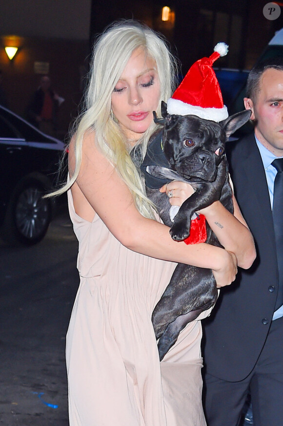 Lady Gaga et son bouledogue à New York le 11 décembre 2015.