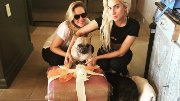 Lady Gaga : Son dogsitter attaqué et ses chiens kidnappés, elle est sous le choc