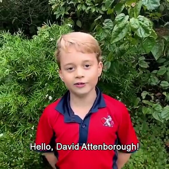 Prince George - David Attenborough répond aux questions de fans célèbres, dont le prince George, la princesse Charlotte et le prince Louis, au Royaume Uni, le 3 octobre 2020.