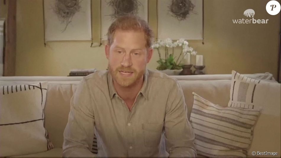 Le prince Harry s'engage au côté de WWF et Greenpeace pour créer un service de streaming respectueux de l'environnement appelé Waterbear le 1er décembre 2020.