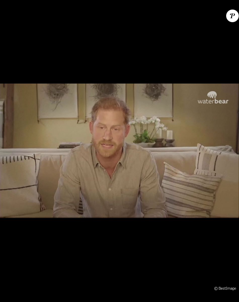 Le prince Harry s'engage au côté de WWF et Greenpeace pour créer un service de streaming respectueux de l'environnement appelé Waterbear le 1er décembre 2020.