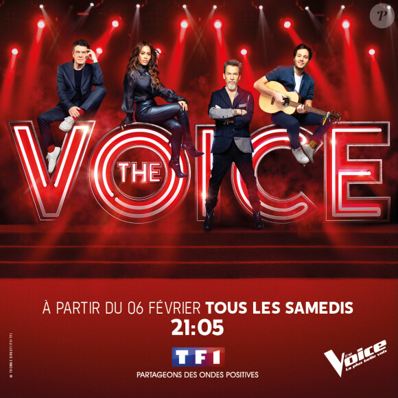 Visuel officiel de la nouvelle saison de The Voice - TF1