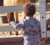 Isaiah, le fils de M. Pokora et Christina Milian, fait la connaissance d'un poney. Le 16 avril 2021.